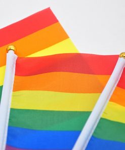 50 pcs Geminbowl Rainbow flag Hand Waving Gay Pride LGBT parade Les Bunting 14x21cm Geminbowl Brand 8546145a a46c 4caa 9f8f 8ac6066012b3 - Transgender Flags